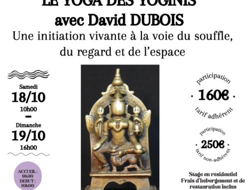 Les Yoginis avec David DUBOIS